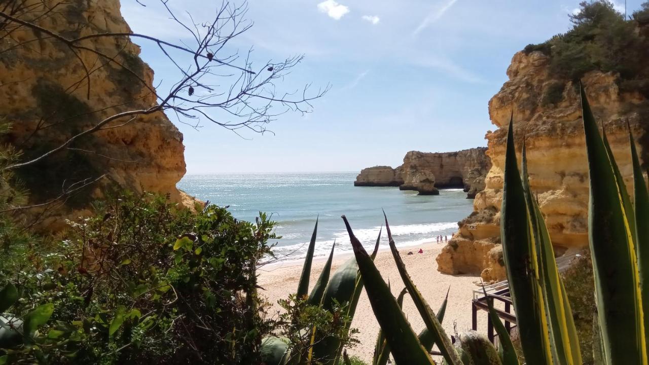 Albufeira Beach Apartment מראה חיצוני תמונה